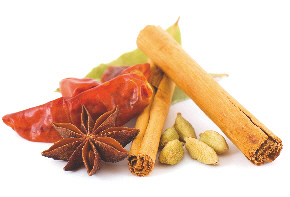 Royal Spice Indian Takeaway Food Tavistock Spices